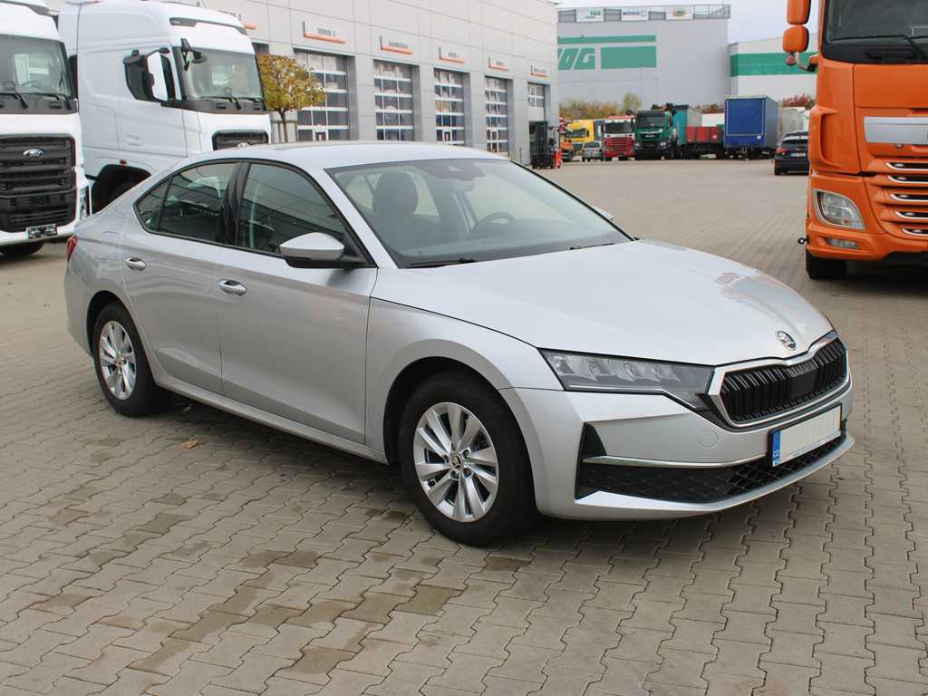 Skoda 2,0TDI 85KW SELECTION - Lengvasis automobilis: foto 3 Skoda 2,0TDI 85KW SELECTION - Lengvasis automobilis: foto 3