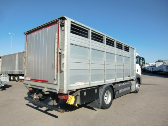 MAN TGS 18.420 Tiertransporter,Euro 6, Manual Seilwinde, el. Ladebordwand Voll Luft - Sunkvežimis žirgams vežti: foto 4 MAN TGS 18.420 Tiertransporter,Euro 6, Manual Seilwinde, el. Ladebordwand Voll Luft - Sunkvežimis žirgams vežti: foto 4