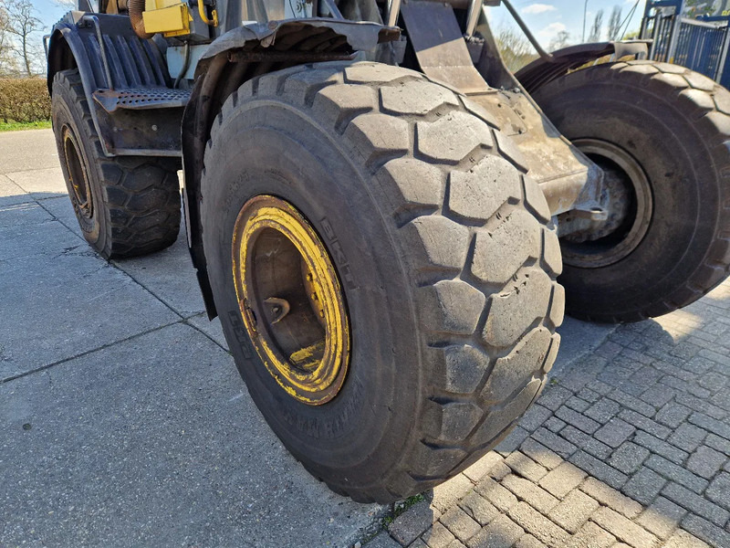 Ratinis krautuvas Werklust WG45E goed werkend: foto 18