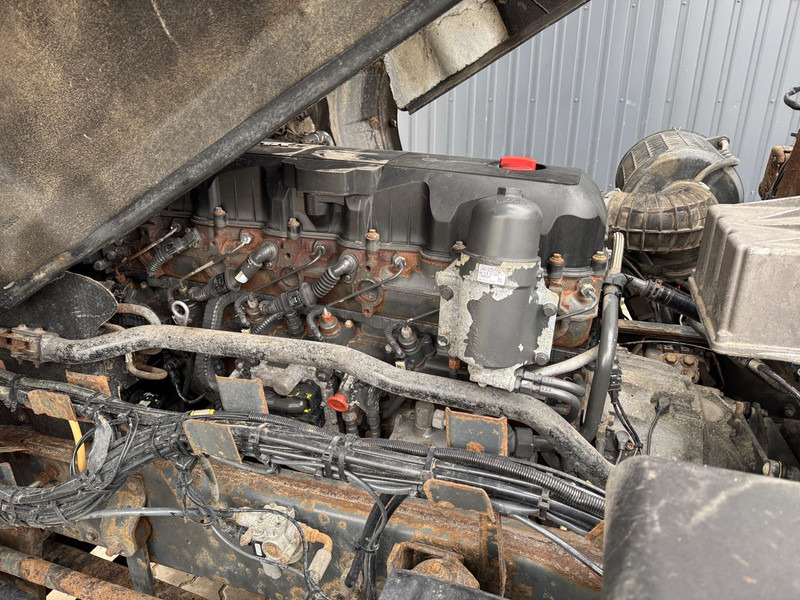 Vilkikas DAF XF 105.460: foto 13