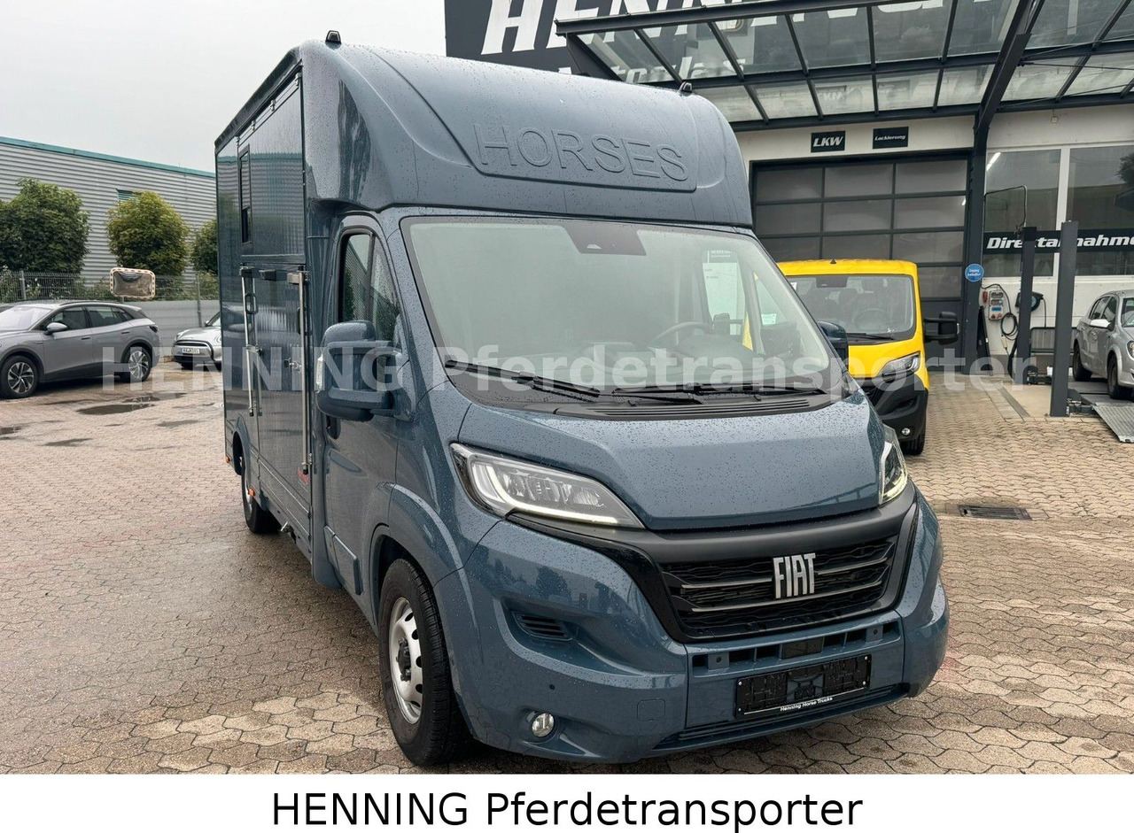 Fiat Ducato *AUTOMATIK* 3 - Sitzer - Gyvulių pervežimo sunkvežimis: foto 2 Fiat Ducato *AUTOMATIK* 3 - Sitzer - Gyvulių pervežimo sunkvežimis: foto 2