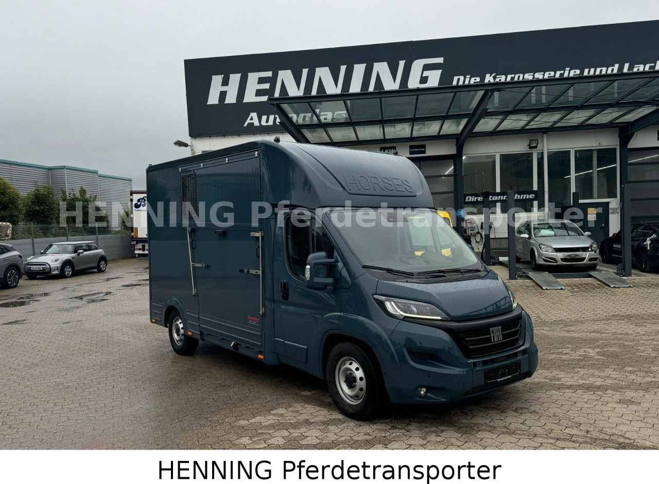 Fiat Ducato *AUTOMATIK* 3 - Sitzer - Gyvulių pervežimo sunkvežimis: foto 1 Fiat Ducato *AUTOMATIK* 3 - Sitzer - Gyvulių pervežimo sunkvežimis: foto 1