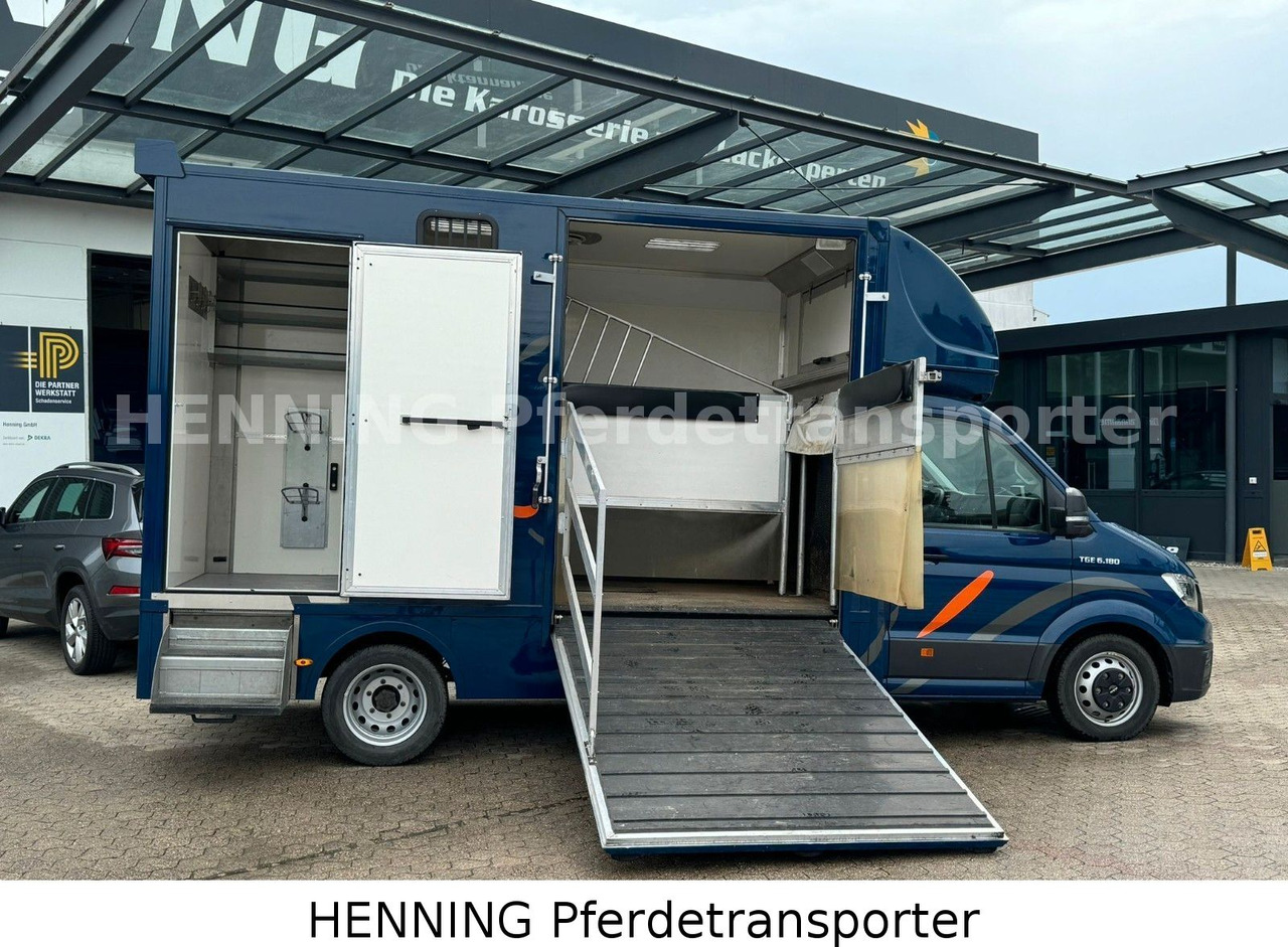 MAN TGE 5.500kg Gesamtgewicht - Gyvulių pervežimo sunkvežimis: foto 5 MAN TGE 5.500kg Gesamtgewicht - Gyvulių pervežimo sunkvežimis: foto 5