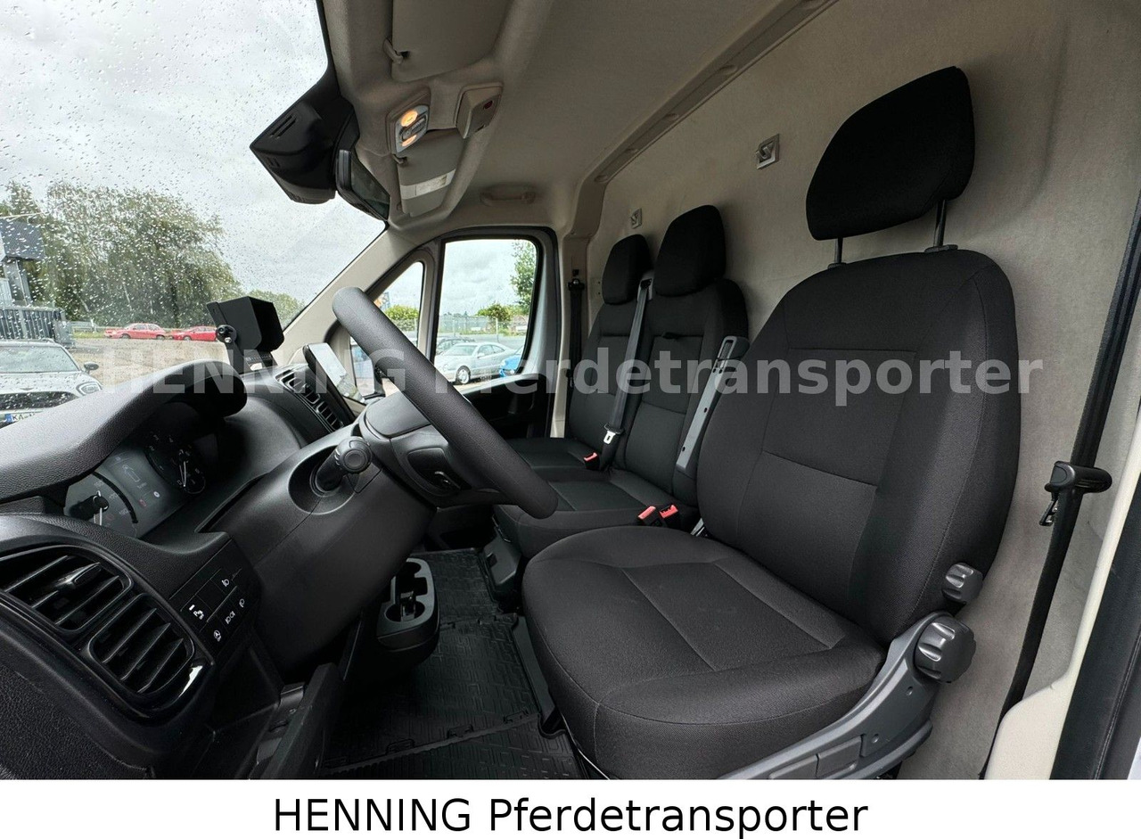 Gyvulių pervežimo sunkvežimis Peugeot Boxer 3 - Sitzer *GROSSE SATTELKAMMER*: foto 16