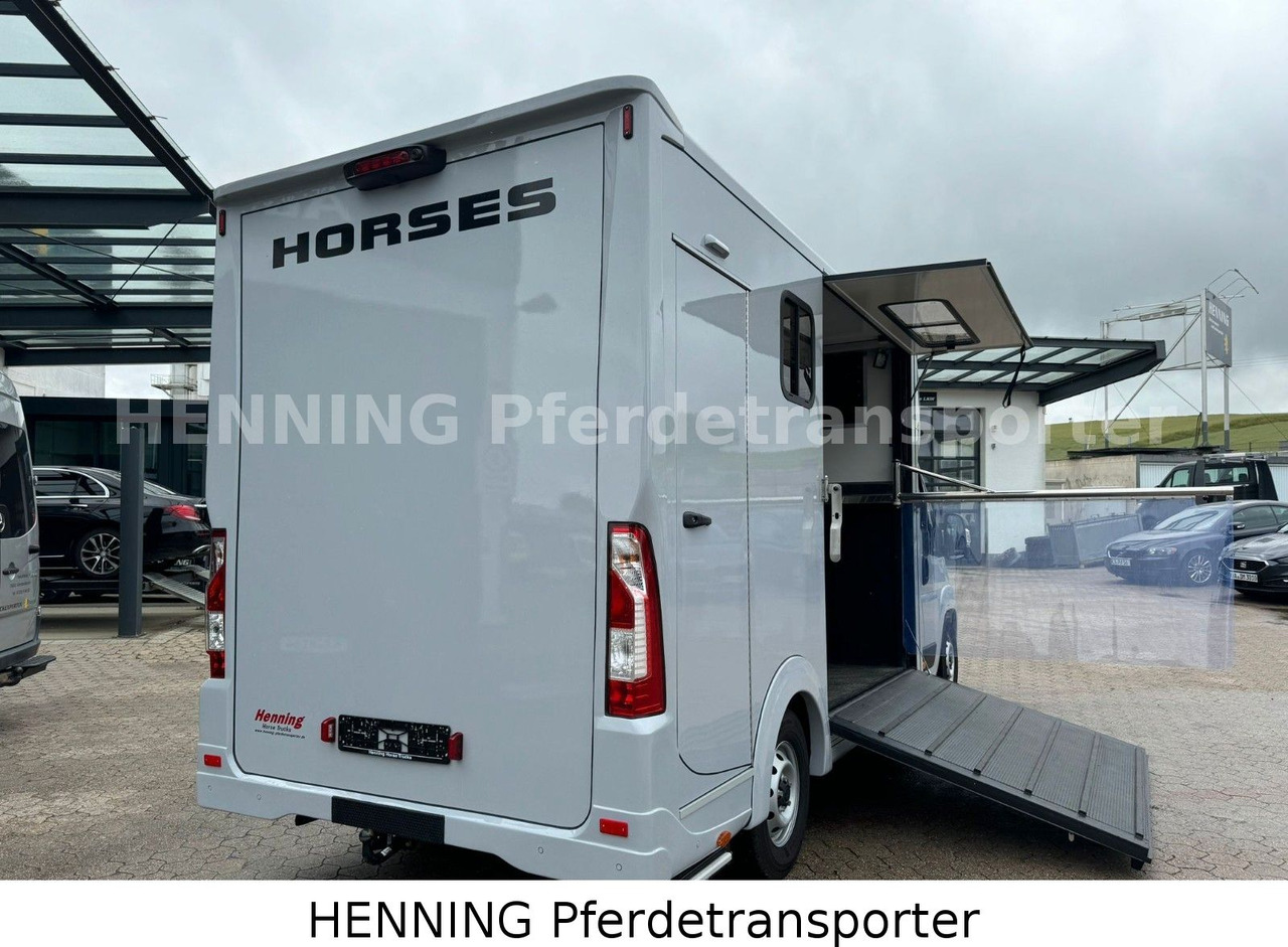Gyvulių pervežimo sunkvežimis Peugeot Boxer 3 - Sitzer *GROSSE SATTELKAMMER*: foto 14