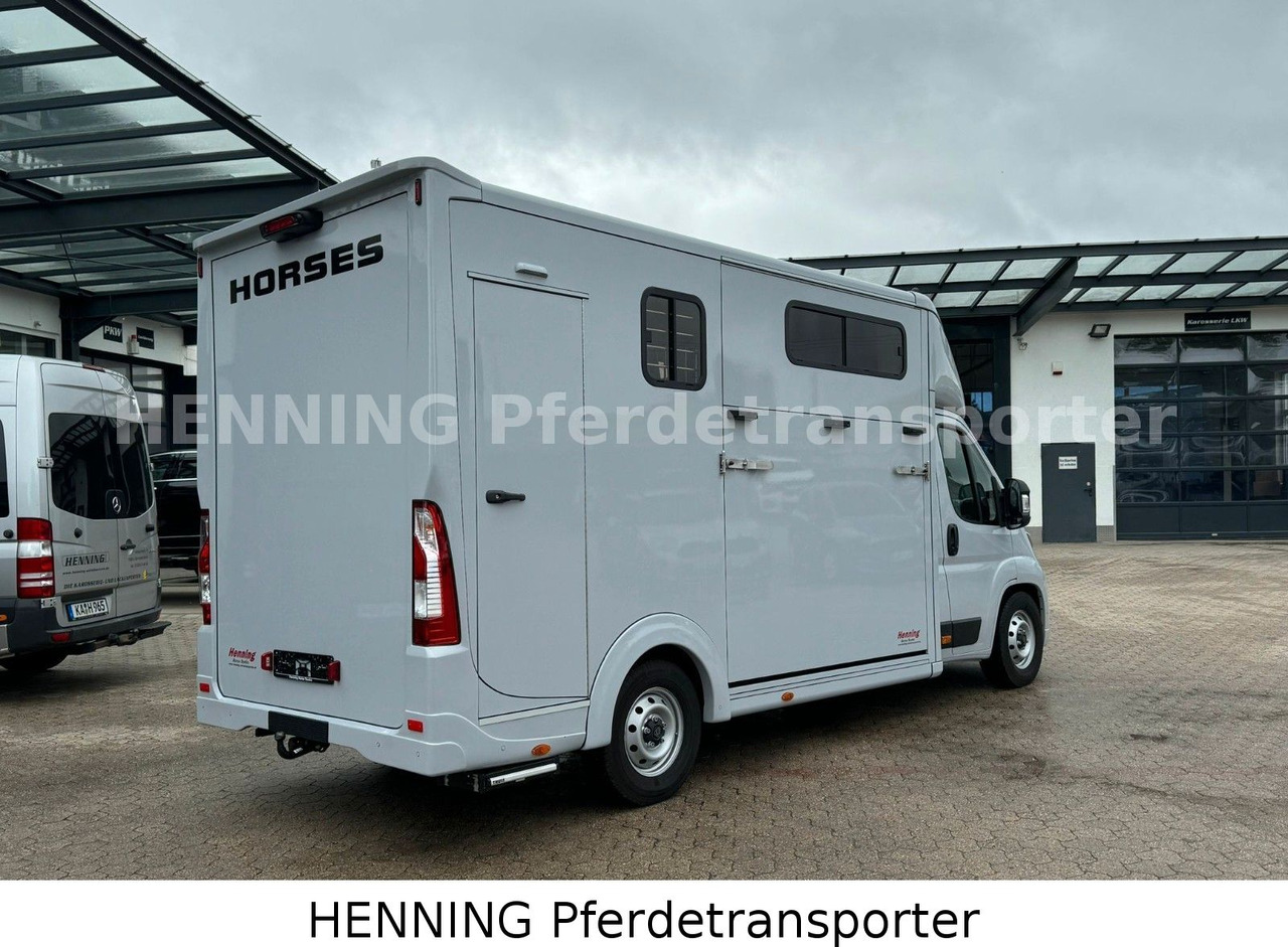 Peugeot Boxer 3 - Sitzer *GROSSE SATTELKAMMER* - Gyvulių pervežimo sunkvežimis: foto 3 Peugeot Boxer 3 - Sitzer *GROSSE SATTELKAMMER* - Gyvulių pervežimo sunkvežimis: foto 3