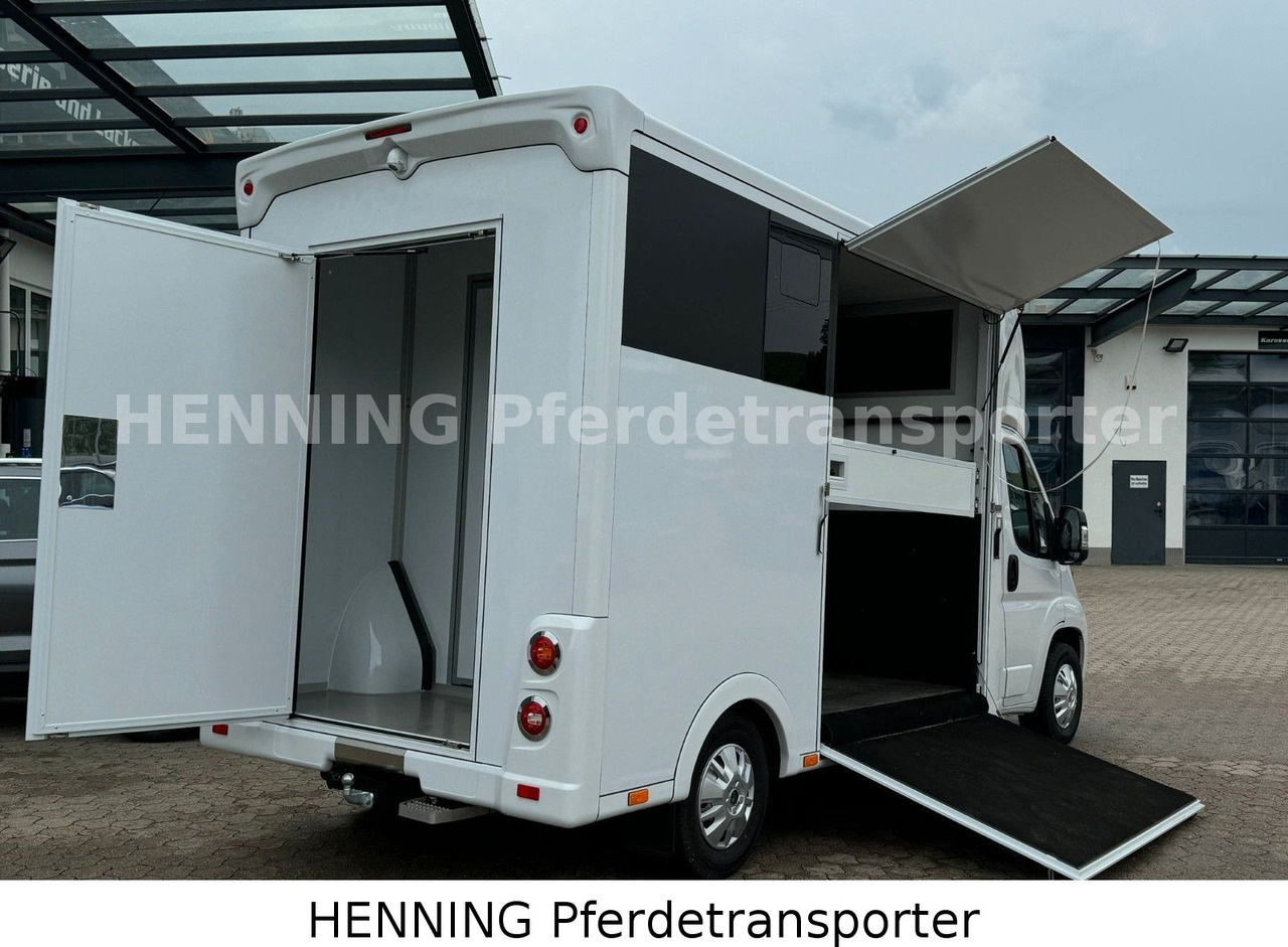 Peugeot Boxer *NEUWAGEN* ca. 1.200kg Nutzlast - Gyvulių pervežimo sunkvežimis: foto 4 Peugeot Boxer *NEUWAGEN* ca. 1.200kg Nutzlast - Gyvulių pervežimo sunkvežimis: foto 4