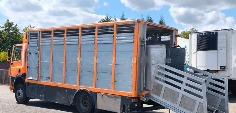 DAF CF 400 Menke Einstock | Transport zwierząt jednopoziomowy | 2 kratownice do bydła| Retarder | Euro 6 - Gyvulių pervežimo sunkvežimis: foto 4 DAF CF 400 Menke Einstock | Transport zwierząt jednopoziomowy | 2 kratownice do bydła| Retarder | Euro 6 - Gyvulių pervežimo sunkvežimis: foto 4