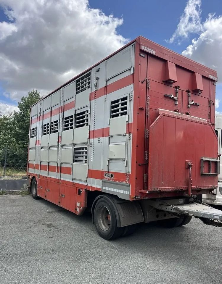 DAF XF 460 + Przyczepa Pezzaoli - 3X Trzoda, 2 X Bydło I 3 poziomy I Podnoszony dach I Hydroburta I Osie Skrętne I Poidła I Wentylatory I Pilot Manualny | Euro5 - Gyvulių pervežimo sunkvežimis: foto 3 DAF XF 460 + Przyczepa Pezzaoli - 3X Trzoda, 2 X Bydło I 3 poziomy I Podnoszony dach I Hydroburta I Osie Skrętne I Poidła I Wentylatory I Pilot Manualny | Euro5 - Gyvulių pervežimo sunkvežimis: foto 3