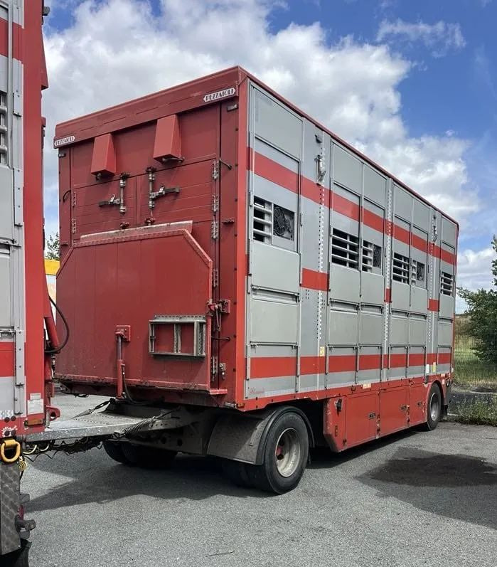 DAF XF 460 + Przyczepa Pezzaoli - 3X Trzoda, 2 X Bydło I 3 poziomy I Podnoszony dach I Hydroburta I Osie Skrętne I Poidła I Wentylatory I Pilot Manualny | Euro5 - Gyvulių pervežimo sunkvežimis: foto 4 DAF XF 460 + Przyczepa Pezzaoli - 3X Trzoda, 2 X Bydło I 3 poziomy I Podnoszony dach I Hydroburta I Osie Skrętne I Poidła I Wentylatory I Pilot Manualny | Euro5 - Gyvulių pervežimo sunkvežimis: foto 4