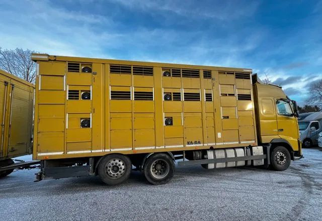 Volvo FH 420 • KABA • Transport Zwierząt 3xŚwinie/ 2xBydło 3-piętrowy • Euro 5 • Retarder • Oś podnoszona i skrętna - Gyvulių pervežimo sunkvežimis: foto 2 Volvo FH 420 • KABA • Transport Zwierząt 3xŚwinie/ 2xBydło 3-piętrowy • Euro 5 • Retarder • Oś podnoszona i skrętna - Gyvulių pervežimo sunkvežimis: foto 2