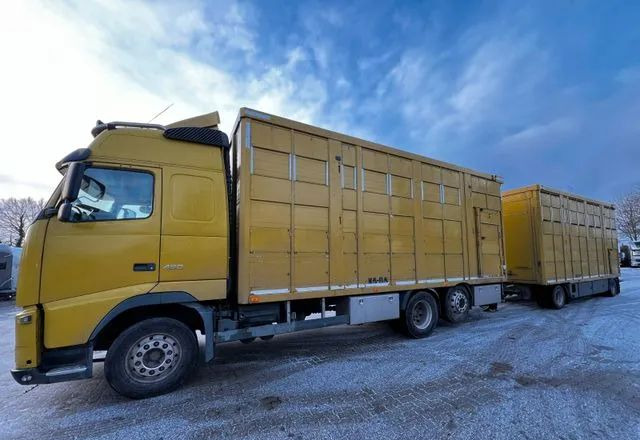 Volvo FH 420 • KABA • Transport Zwierząt 3xŚwinie/ 2xBydło 3-piętrowy • Euro 5 • Retarder • Oś podnoszona i skrętna - Gyvulių pervežimo sunkvežimis: foto 1 Volvo FH 420 • KABA • Transport Zwierząt 3xŚwinie/ 2xBydło 3-piętrowy • Euro 5 • Retarder • Oś podnoszona i skrętna - Gyvulių pervežimo sunkvežimis: foto 1