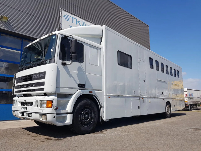 DAF 95.350 Paardenwagen met zitverblijf 7 paarden 7 horses - Sunkvežimis žirgams vežti: foto 1 DAF 95.350 Paardenwagen met zitverblijf 7 paarden 7 horses - Sunkvežimis žirgams vežti: foto 1