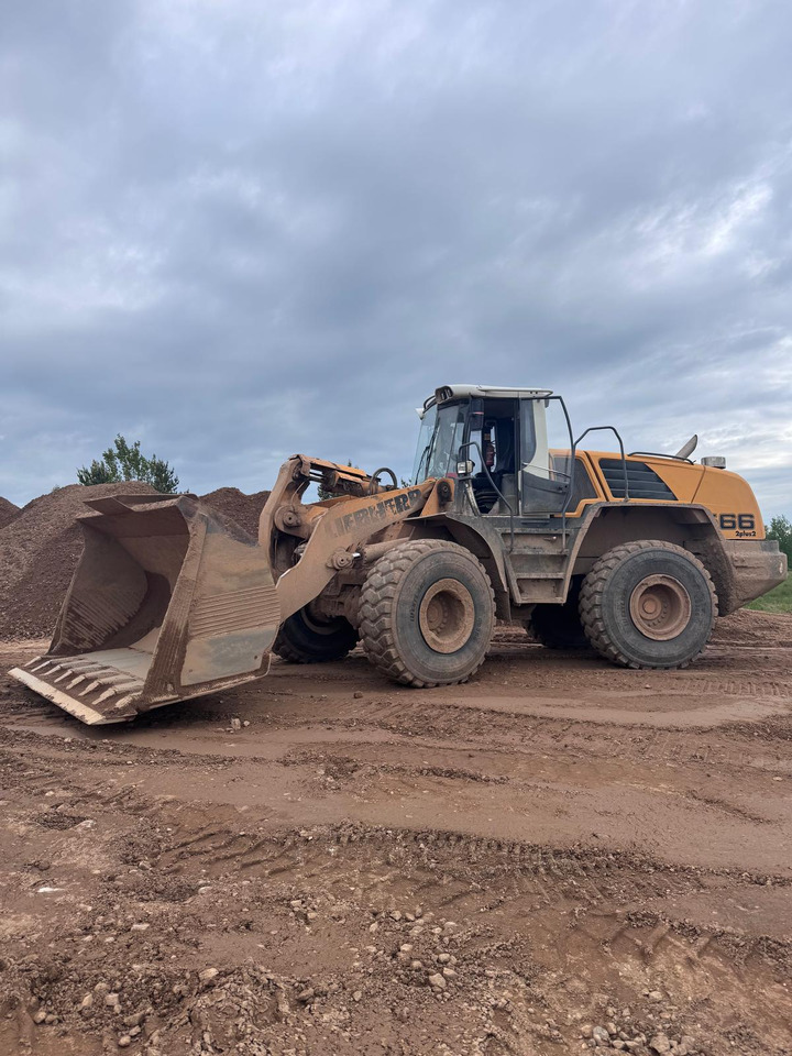 LIEBHERR L566 - Ekskavatorius-krautuvas: foto 1 LIEBHERR L566 - Ekskavatorius-krautuvas: foto 1