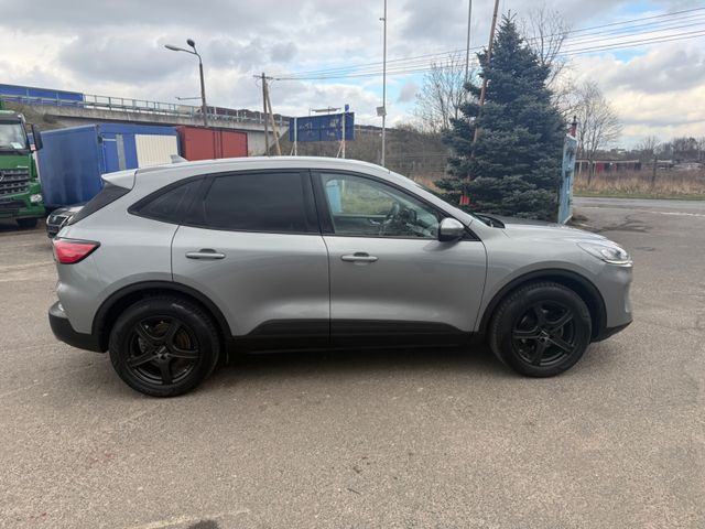 Ford Kuga Trend - Sedanas: foto 3 Ford Kuga Trend - Sedanas: foto 3