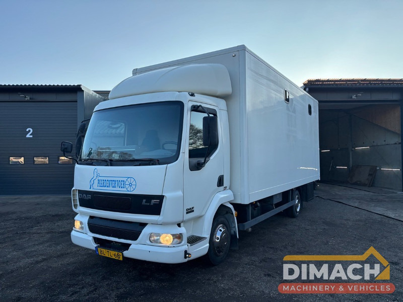 DAF FA LF45.150 4 paards, laadlift. Horsetruck NL truck - Sunkvežimis žirgams vežti: foto 1 DAF FA LF45.150 4 paards, laadlift. Horsetruck NL truck - Sunkvežimis žirgams vežti: foto 1