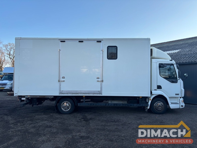 DAF FA LF45.150 4 paards, laadlift. Horsetruck NL truck - Sunkvežimis žirgams vežti: foto 4 DAF FA LF45.150 4 paards, laadlift. Horsetruck NL truck - Sunkvežimis žirgams vežti: foto 4