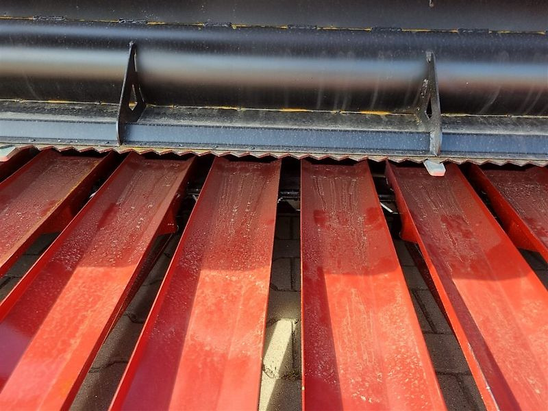 Nauja Saulėgražų pjaunamoji Lupus Sonnenblummenvorsatz / Sunflower harvester / Coupe à tournesol / Сosechadora / Macchina per la raccolta dei girasoli / Жатка для подсолнечника / Przystawka do słonecznika 6,5 m: foto 15