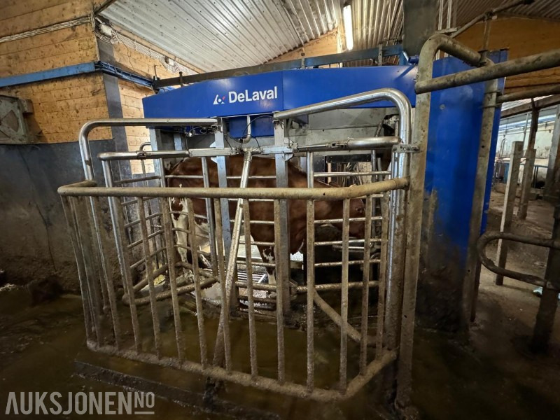 2013 DeLaval VMS melkerobot med 1 kraftfôrstasjon FSC40 - Høyre utgave - Steam - Innredning og grinder foran - Vakuumpumpe - Fortsatt i daglig drift - Žemės ūkio technika: foto 4 2013 DeLaval VMS melkerobot med 1 kraftfôrstasjon FSC40 - Høyre utgave - Steam - Innredning og grinder foran - Vakuumpumpe - Fortsatt i daglig drift - Žemės ūkio technika: foto 4