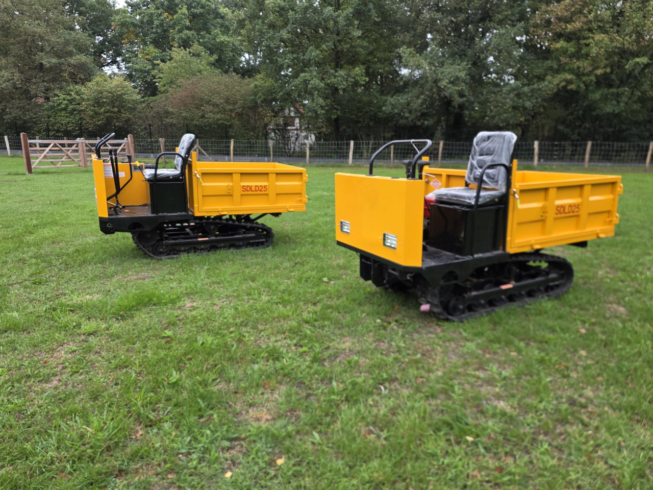 Sdlool sdld 25 mini dumper - Savivartis: foto 2 Sdlool sdld 25 mini dumper - Savivartis: foto 2