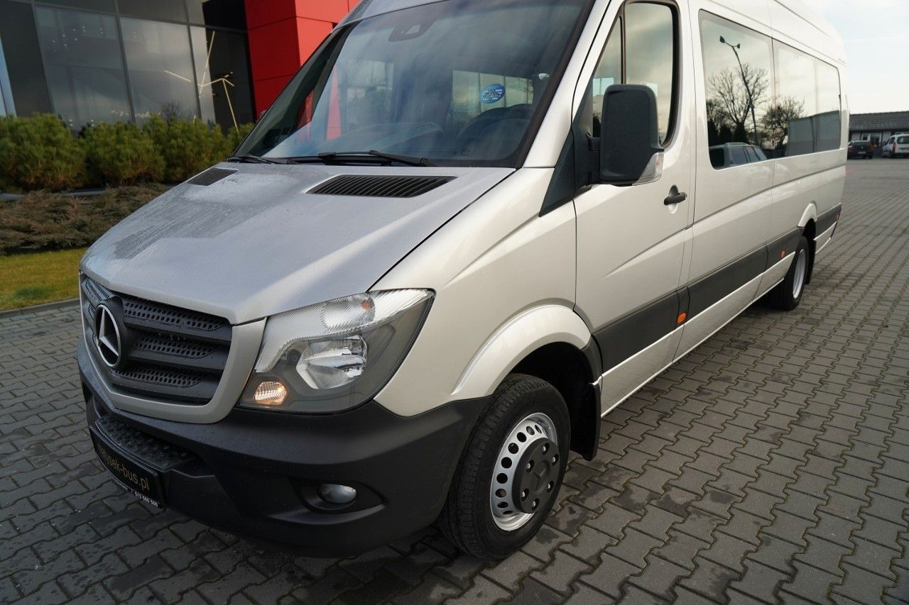 Autobusas Mercedes-Benz SPRINTER 516 CDI / SPROWADZONY Z FRANCJI /: foto 9