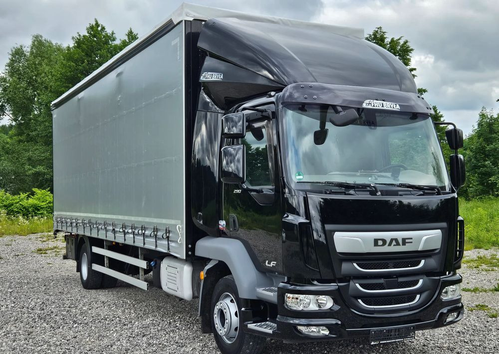 DAF LF 290 / WINDA / 16TON DMC / FIRANKA / AUTOMAT / JEDEN WŁAŚCICIE / EURO 6 / 2019 / SPROWADZONY / 20PALET / NISKI PRZEBIEG / DUŻA ŁADOWNOŚĆ / JAK NOWY - Tentinis sunkvežimis: foto 3 DAF LF 290 / WINDA / 16TON DMC / FIRANKA / AUTOMAT / JEDEN WŁAŚCICIE / EURO 6 / 2019 / SPROWADZONY / 20PALET / NISKI PRZEBIEG / DUŻA ŁADOWNOŚĆ / JAK NOWY - Tentinis sunkvežimis: foto 3