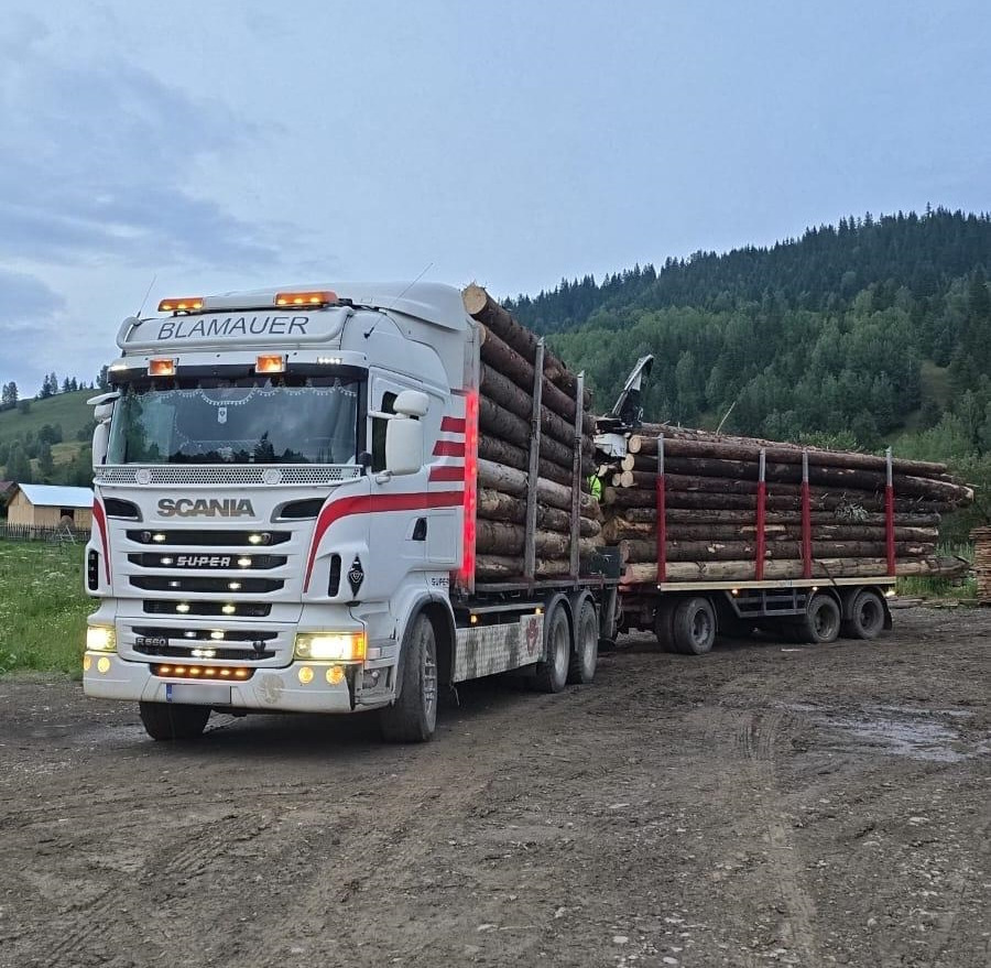 SCANIA R560 V8 - Miškovežis, Sunkvežimis su kranu: foto 1 SCANIA R560 V8 - Miškovežis, Sunkvežimis su kranu: foto 1