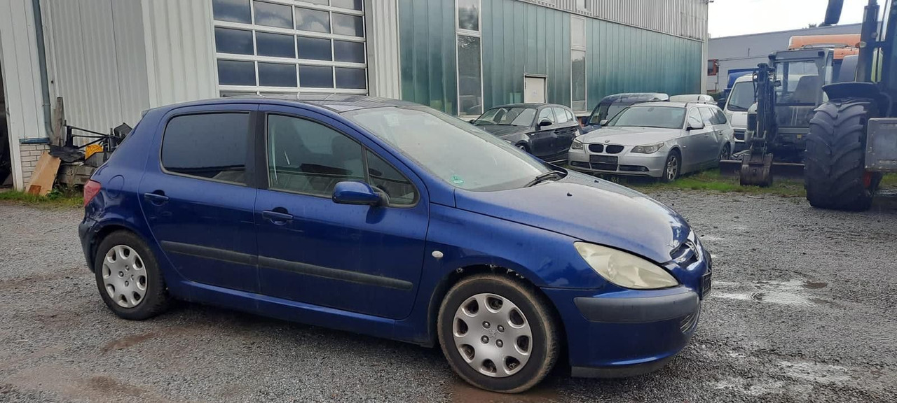 Peugeot 307 Grand Filou - Sedanas: foto 2 Peugeot 307 Grand Filou - Sedanas: foto 2