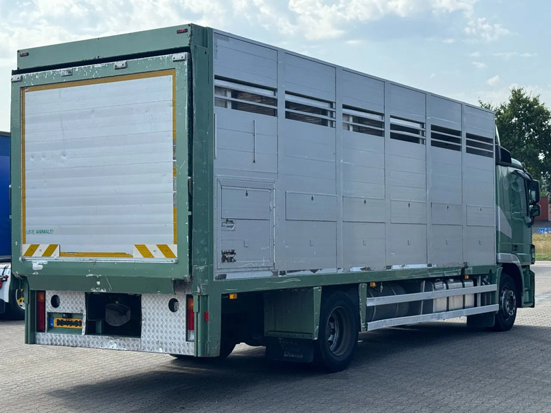 Mercedes-Benz Actros 1832 L 1 - 2 Stock Animal Transport - Gyvulių pervežimo sunkvežimis: foto 3 Mercedes-Benz Actros 1832 L 1 - 2 Stock Animal Transport - Gyvulių pervežimo sunkvežimis: foto 3