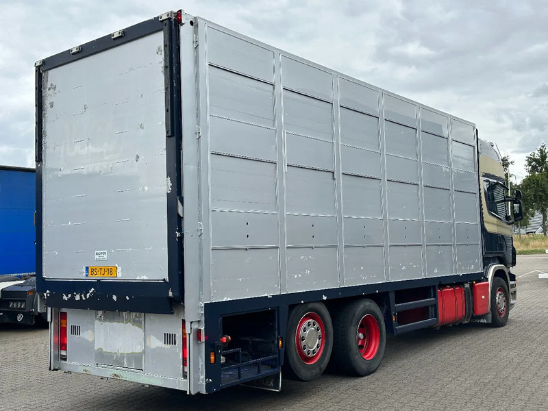 Scania R420 6x2 Topline / 3 Stock Animal Transport / Retarder / Euro 5 - Gyvulių pervežimo sunkvežimis: foto 3 Scania R420 6x2 Topline / 3 Stock Animal Transport / Retarder / Euro 5 - Gyvulių pervežimo sunkvežimis: foto 3