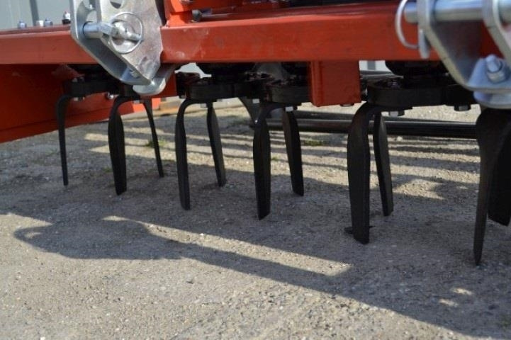 - - - boxer - Akėčios: foto 4 - - - boxer - Akėčios: foto 4