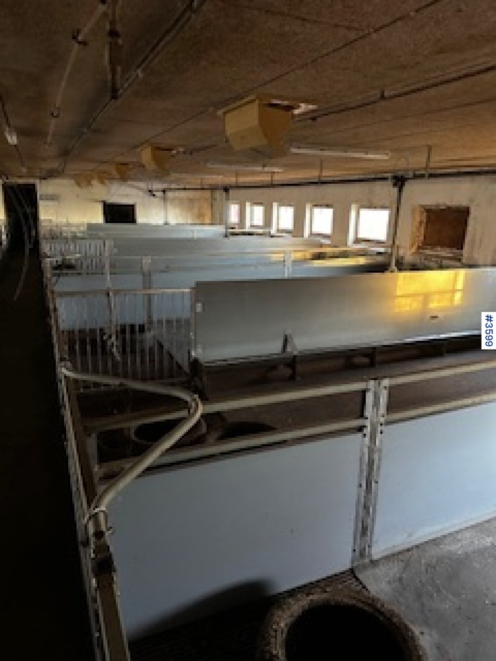 WEDG Pig House interior! - Gyvulininkystės įranga: foto 1 WEDG Pig House interior! - Gyvulininkystės įranga: foto 1