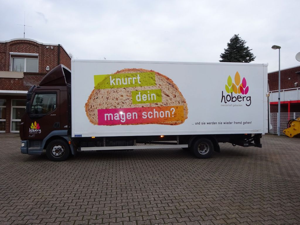 DAF LF 220 Koffer mit Palfinger LBW 4x2 DAF LF 220 Koffer mit Palfinger LBW 4x2 - Furgonas su krovinių dėže: foto 3 DAF LF 220 Koffer mit Palfinger LBW 4x2 DAF LF 220 Koffer mit Palfinger LBW 4x2 - Furgonas su krovinių dėže: foto 3