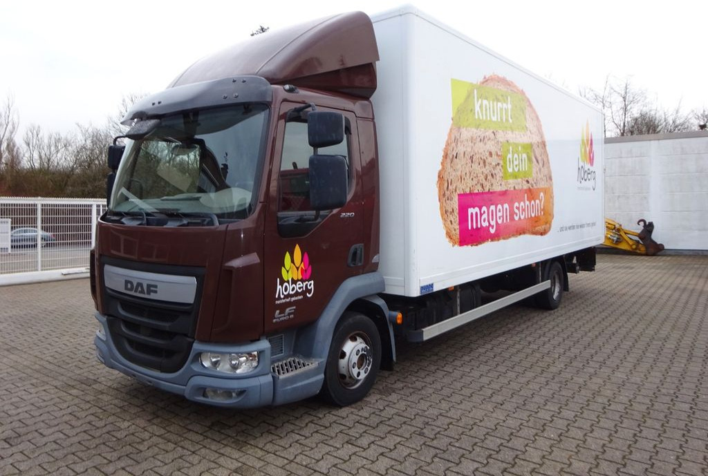 DAF LF 220 Koffer mit Palfinger LBW 4x2 - Furgonas su krovinių dėže: foto 2 DAF LF 220 Koffer mit Palfinger LBW 4x2 - Furgonas su krovinių dėže: foto 2