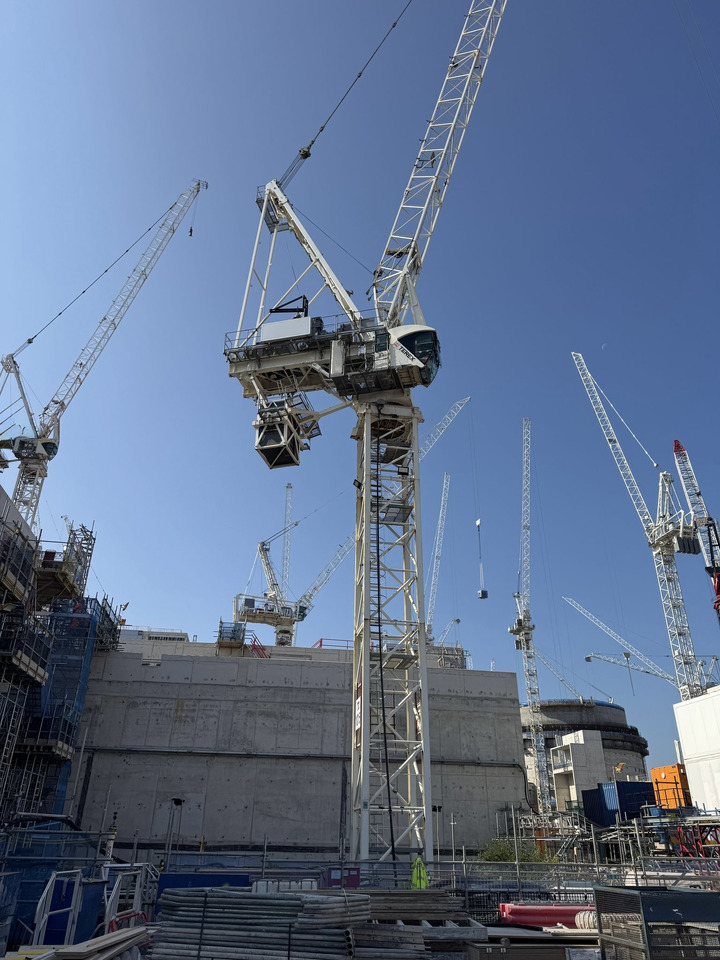 TEREX CTL 430 - Bokštinis kranas: foto 1 TEREX CTL 430 - Bokštinis kranas: foto 1