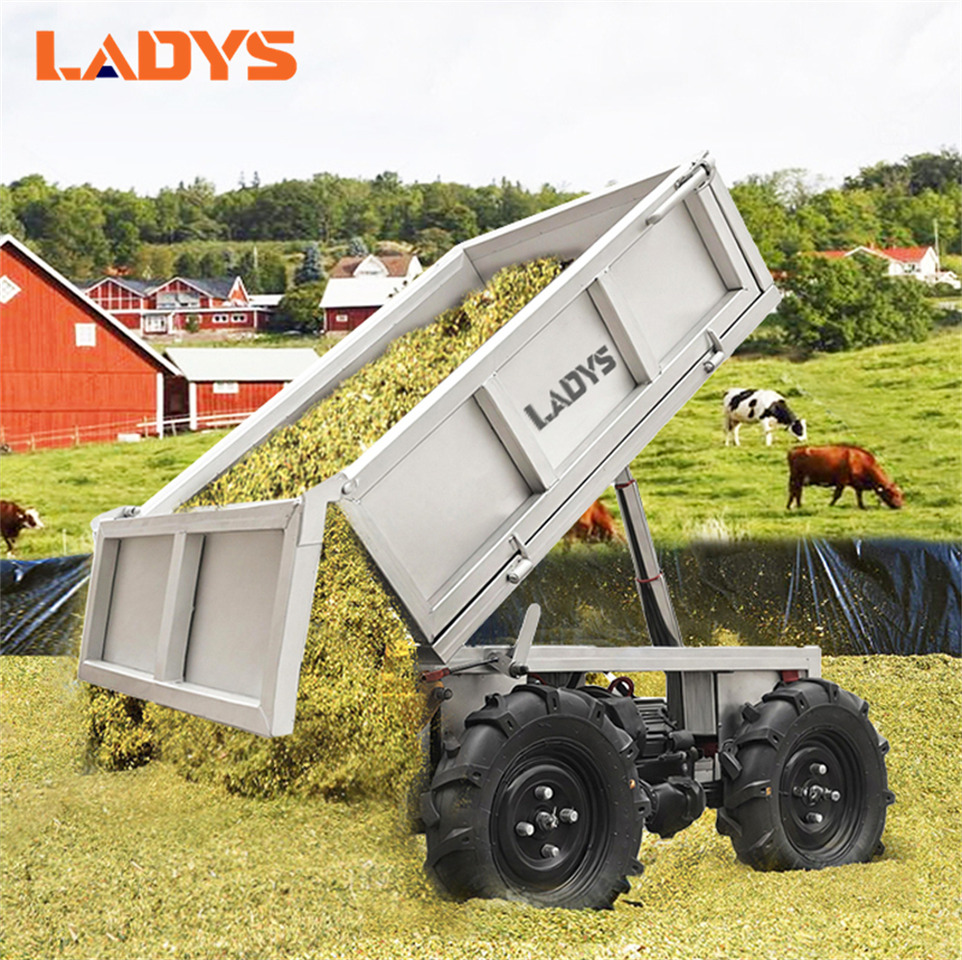 LADYS Electric Remote Control Transporter Agricultural Orchard Farm Electric Utv Material Handling Equipment All Terrain Transport Vehicle - Keturratis: foto 3 LADYS Electric Remote Control Transporter Agricultural Orchard Farm Electric Utv Material Handling Equipment All Terrain Transport Vehicle - Keturratis: foto 3