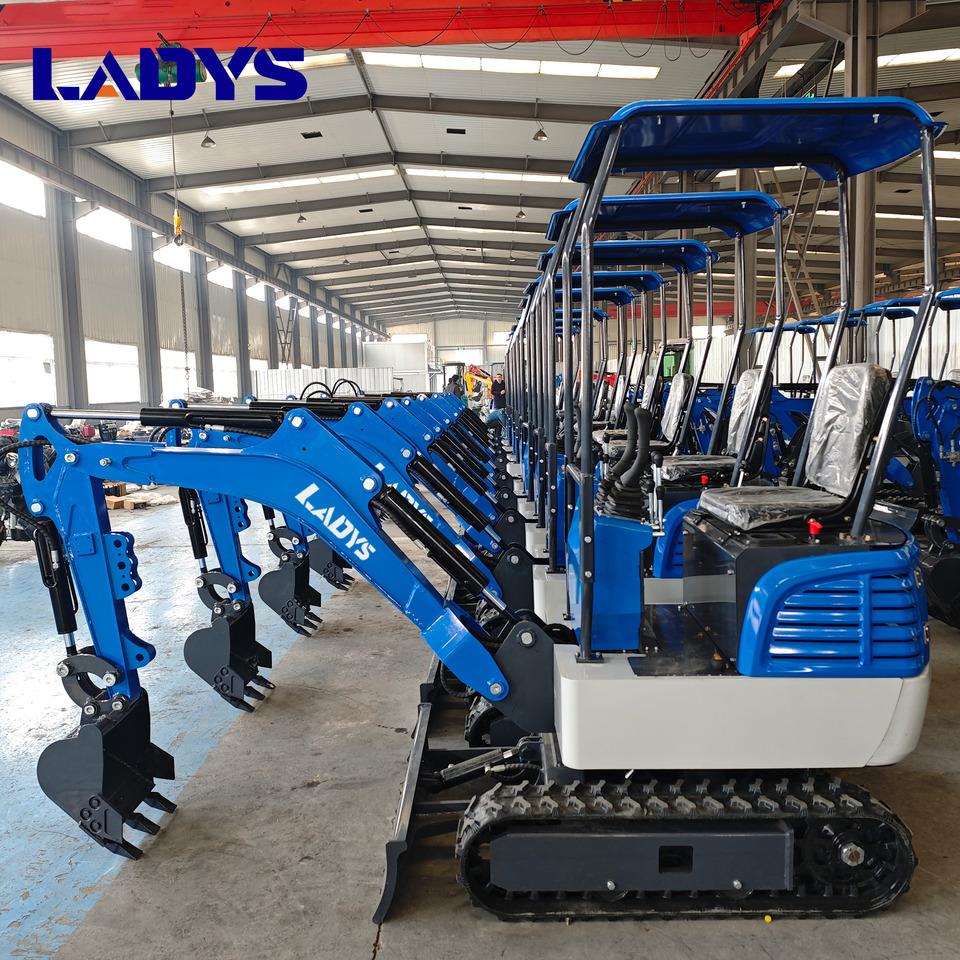 Free Shipping Mini Excavator Bagger Pelle Miniexcavadora 1 2 3.5 Ton CE/EPA/EURO 5 Kubota Engine Diesel/Electric Mini Excavators For Sale - Vikšrinis ekskavatorius: foto 1 Free Shipping Mini Excavator Bagger Pelle Miniexcavadora 1 2 3.5 Ton CE/EPA/EURO 5 Kubota Engine Diesel/Electric Mini Excavators For Sale - Vikšrinis ekskavatorius: foto 1
