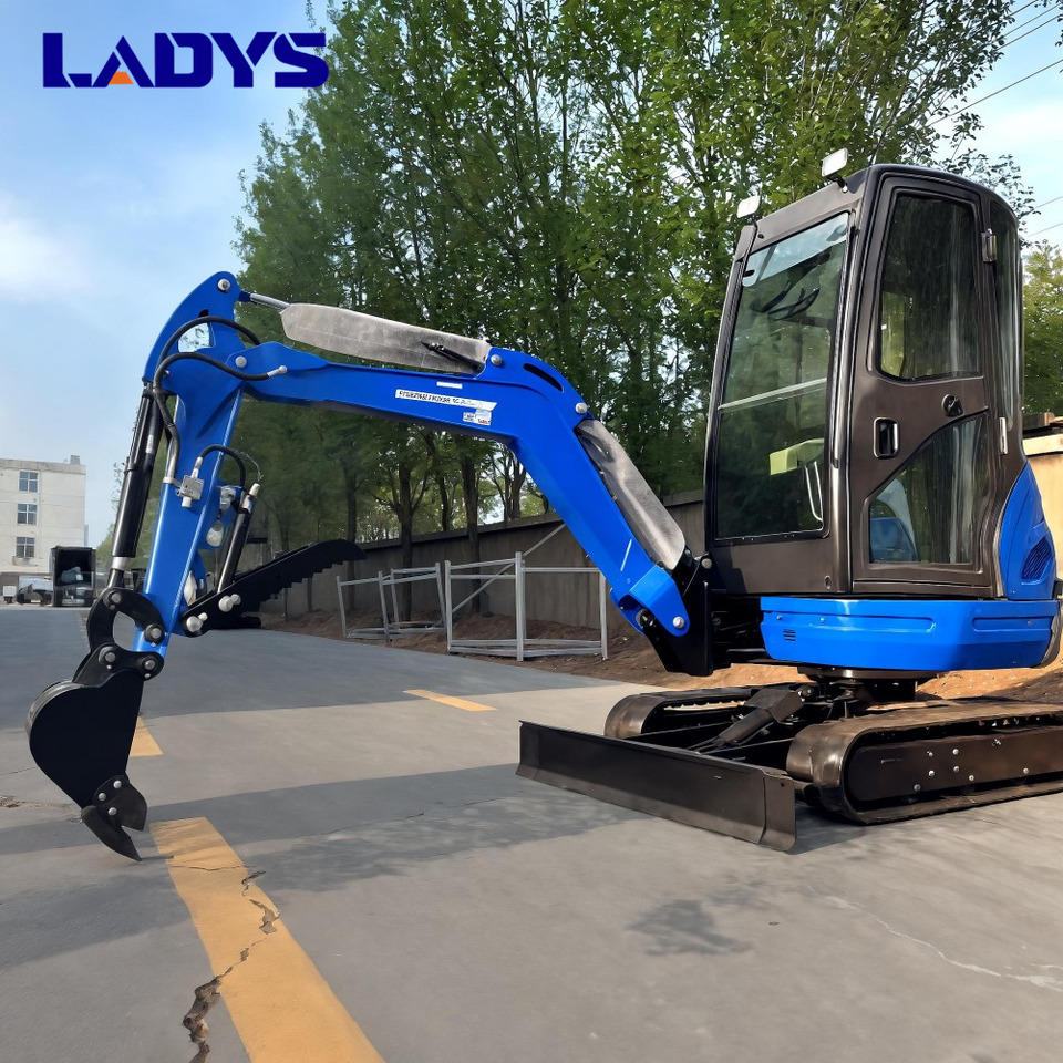 LADYS DY25U Mini Excavator Digger Miniexcavadora EPA Kubota Engine Mini Excavator For Sale With Mini Excavator Attachment Set - Vikšrinis ekskavatorius: foto 4 LADYS DY25U Mini Excavator Digger Miniexcavadora EPA Kubota Engine Mini Excavator For Sale With Mini Excavator Attachment Set - Vikšrinis ekskavatorius: foto 4