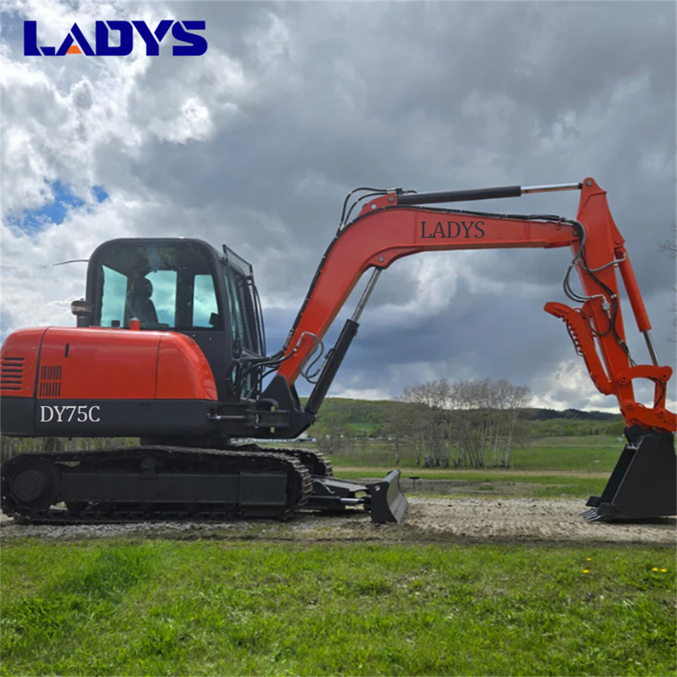 LADYS DY75C Small Excavator Euro 5/Epa Yanmar Engine Small Excavator Crawler Excavator For Sale - Vikšrinis ekskavatorius: foto 1 LADYS DY75C Small Excavator Euro 5/Epa Yanmar Engine Small Excavator Crawler Excavator For Sale - Vikšrinis ekskavatorius: foto 1