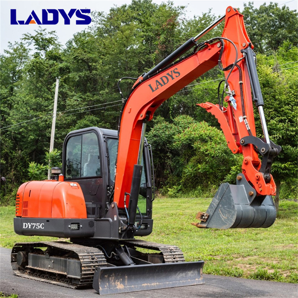 LADYS DY75C Small Excavator Euro 5/Epa Yanmar Engine Small Excavator Crawler Excavator For Sale - Vikšrinis ekskavatorius: foto 4 LADYS DY75C Small Excavator Euro 5/Epa Yanmar Engine Small Excavator Crawler Excavator For Sale - Vikšrinis ekskavatorius: foto 4