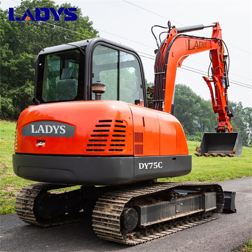 LADYS DY75C Small Excavator Euro 5/Epa Yanmar Engine Small Excavator Crawler Excavator For Sale - Vikšrinis ekskavatorius: foto 3 LADYS DY75C Small Excavator Euro 5/Epa Yanmar Engine Small Excavator Crawler Excavator For Sale - Vikšrinis ekskavatorius: foto 3