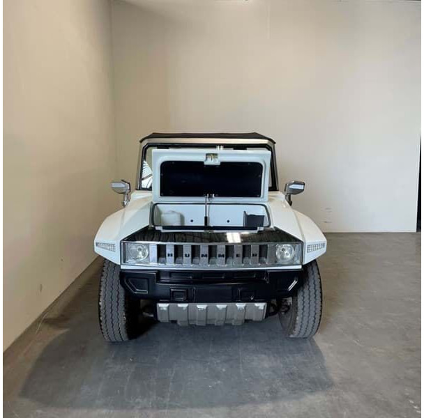Hummer Limousin - Motociklas: foto 3 Hummer Limousin - Motociklas: foto 3