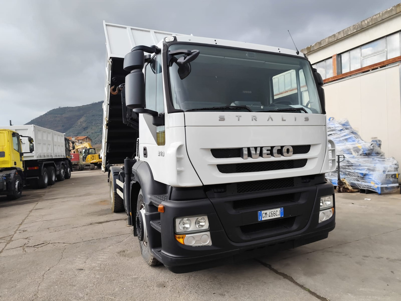 Sunkvežimis su kranu IVECO STRALIS AD 190S31P: foto 13