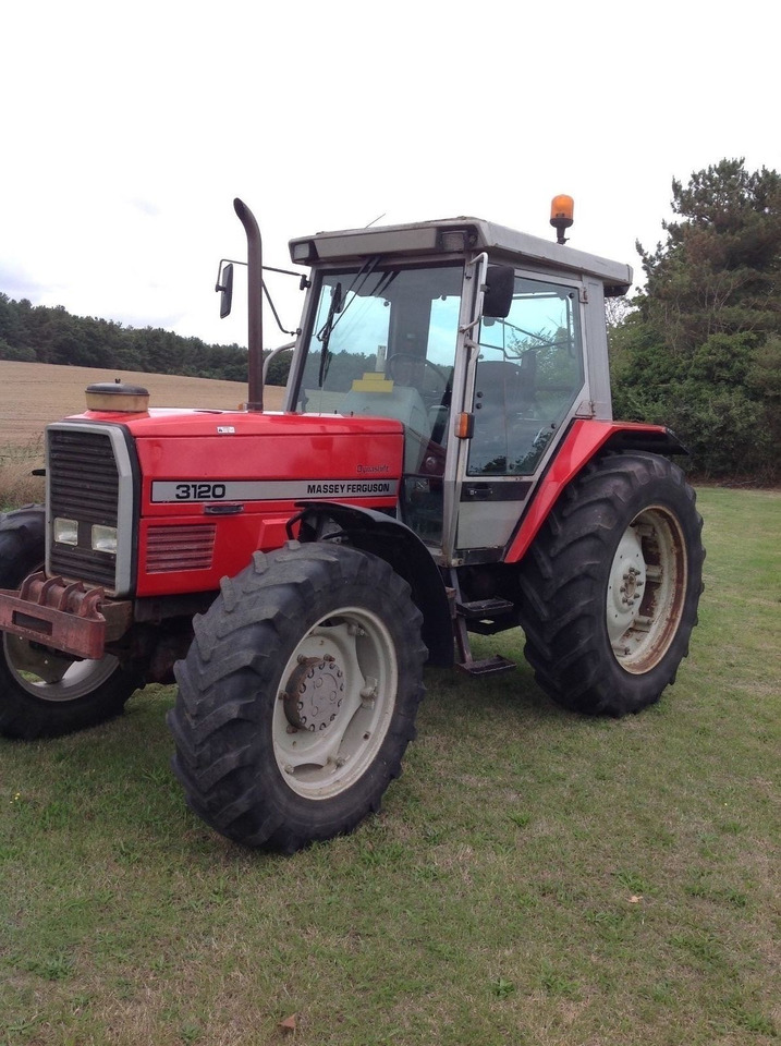 Massey Ferguson 3120 - Traktorius: foto 1 Massey Ferguson 3120 - Traktorius: foto 1