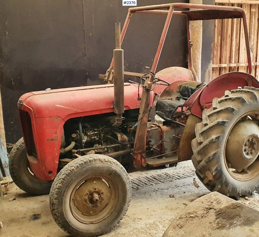 Massey Ferguson Special 35X - Traktorius: foto 1 Massey Ferguson Special 35X - Traktorius: foto 1