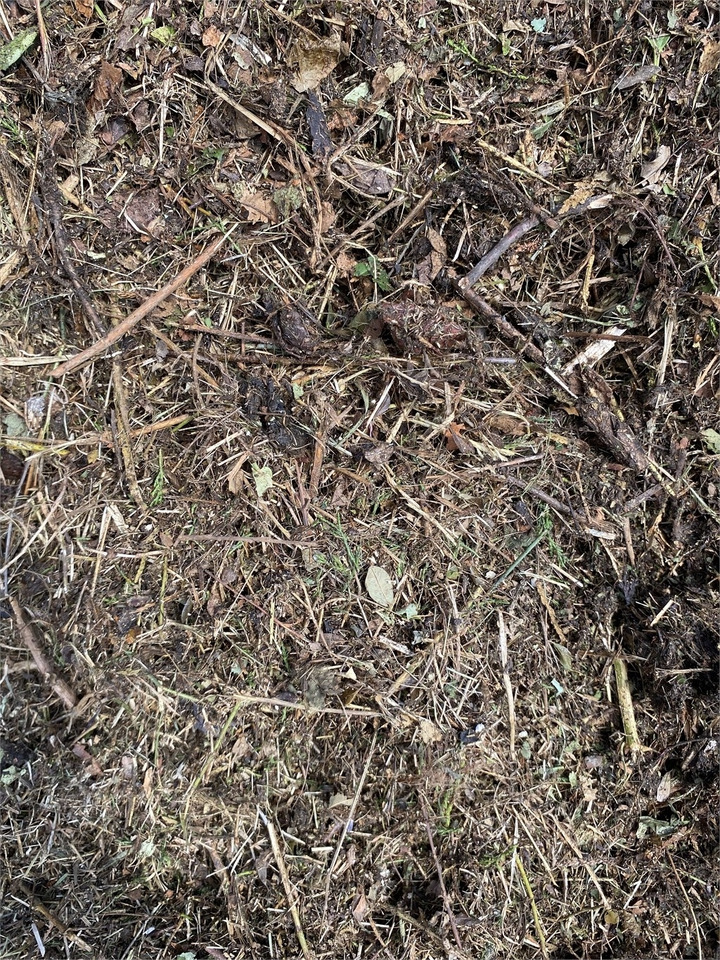 Šiaudų smulkintuvas Bizon B-1030 Kompost Schredder Biomasse Mist Compost shr: foto 8