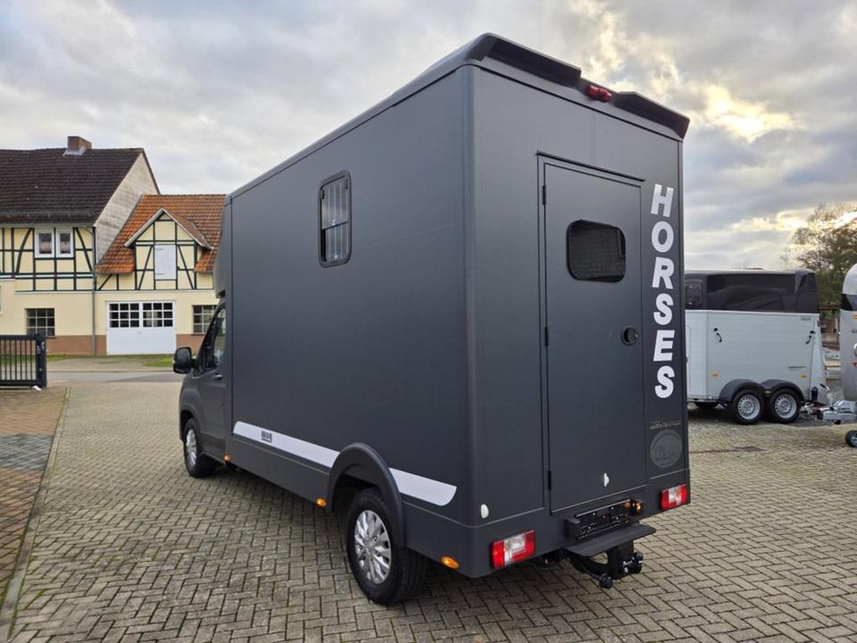 MSG Stablehopper Pferdetransporter Pferdeanhänger Böckmann - Sunkvežimis žirgams vežti: foto 4 MSG Stablehopper Pferdetransporter Pferdeanhänger Böckmann - Sunkvežimis žirgams vežti: foto 4