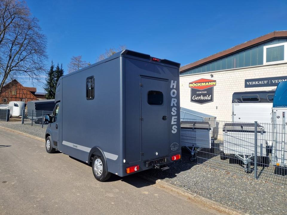 MSG Stablehopper Pferdetransporter Pferdeanhänger Böckmann - Sunkvežimis žirgams vežti: foto 4 MSG Stablehopper Pferdetransporter Pferdeanhänger Böckmann - Sunkvežimis žirgams vežti: foto 4