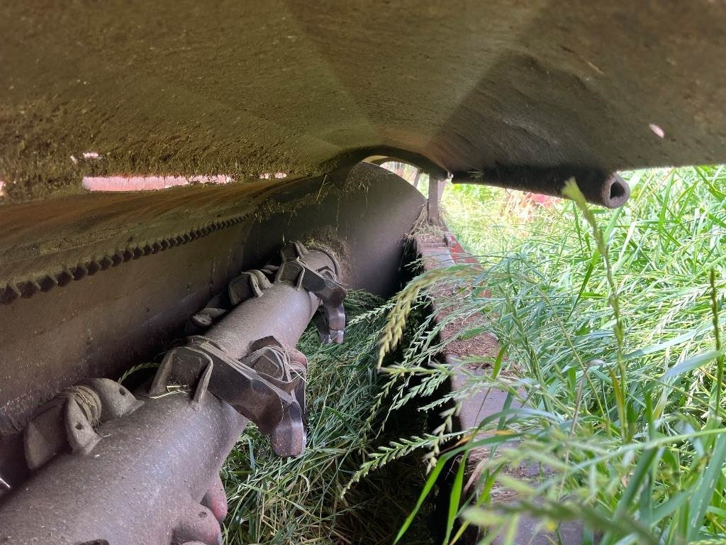 Maschio Gemella - Žolės smulkintuvas: foto 5 Maschio Gemella - Žolės smulkintuvas: foto 5