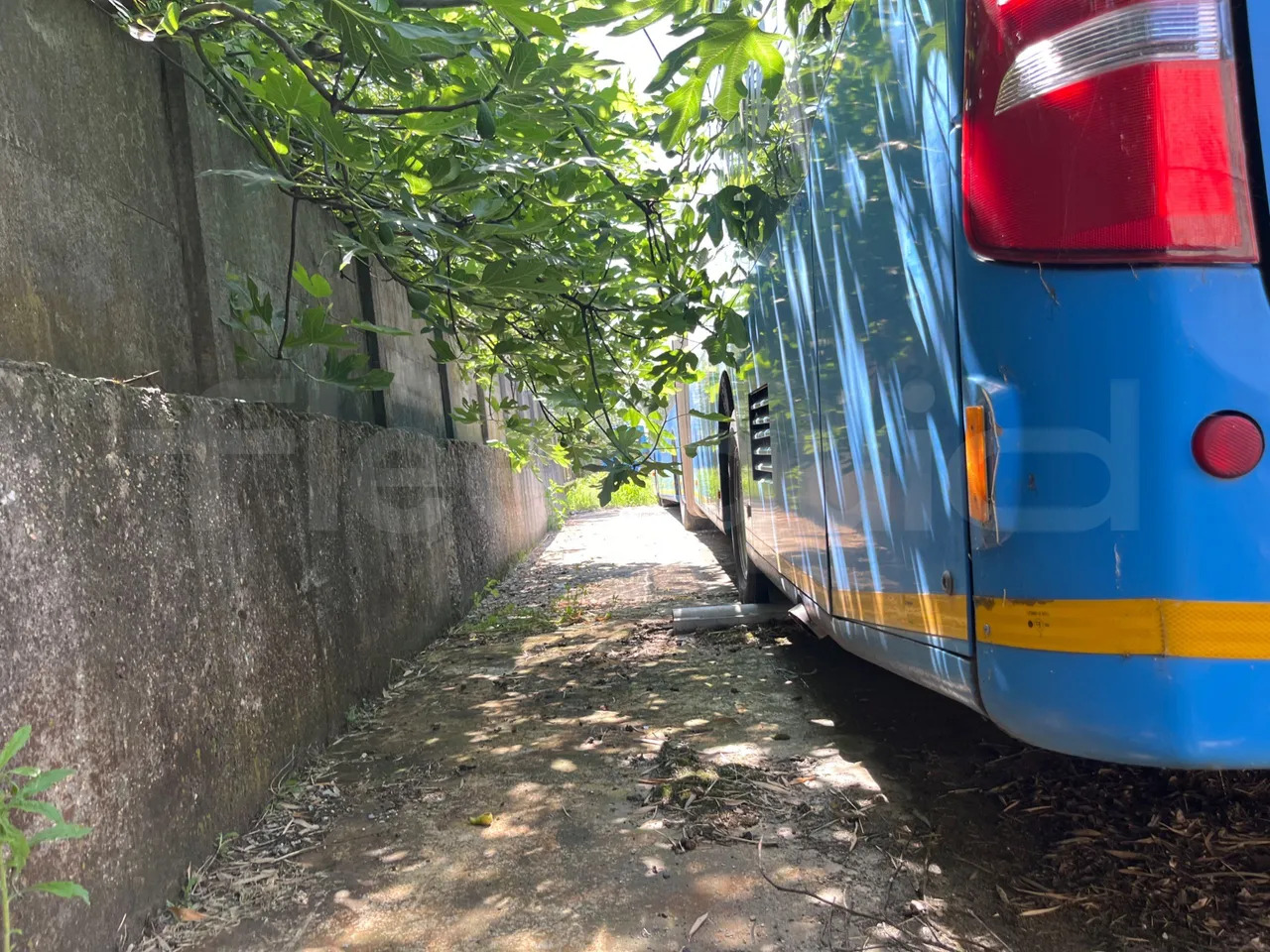 Mercedes-Benz Citaro G - Miesto autobusas: foto 4 Mercedes-Benz Citaro G - Miesto autobusas: foto 4